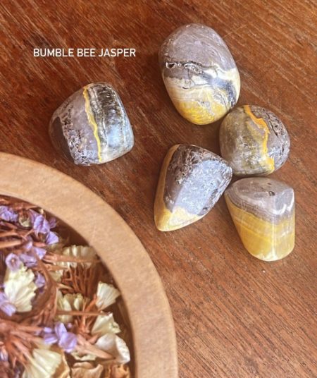 Bumble Bee Jasper Pulido