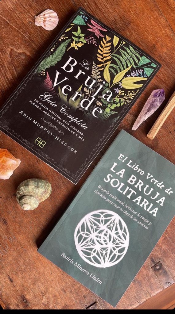 Libro De La Bruja Verde – Serendipity